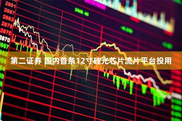 第二证券 国内首条12寸硅光芯片流片平台投用
