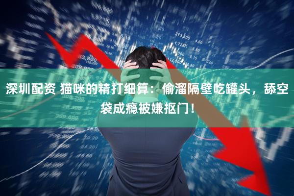 深圳配资 猫咪的精打细算：偷溜隔壁吃罐头，舔空袋成瘾被嫌抠门！